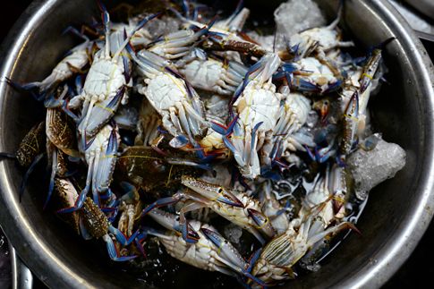 Crabes de Kampot